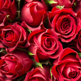 Fleurs